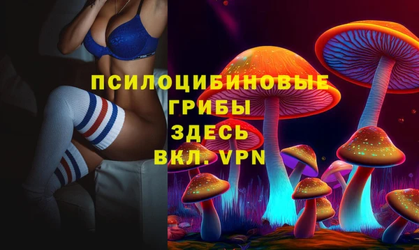 прущая мука Вязьма